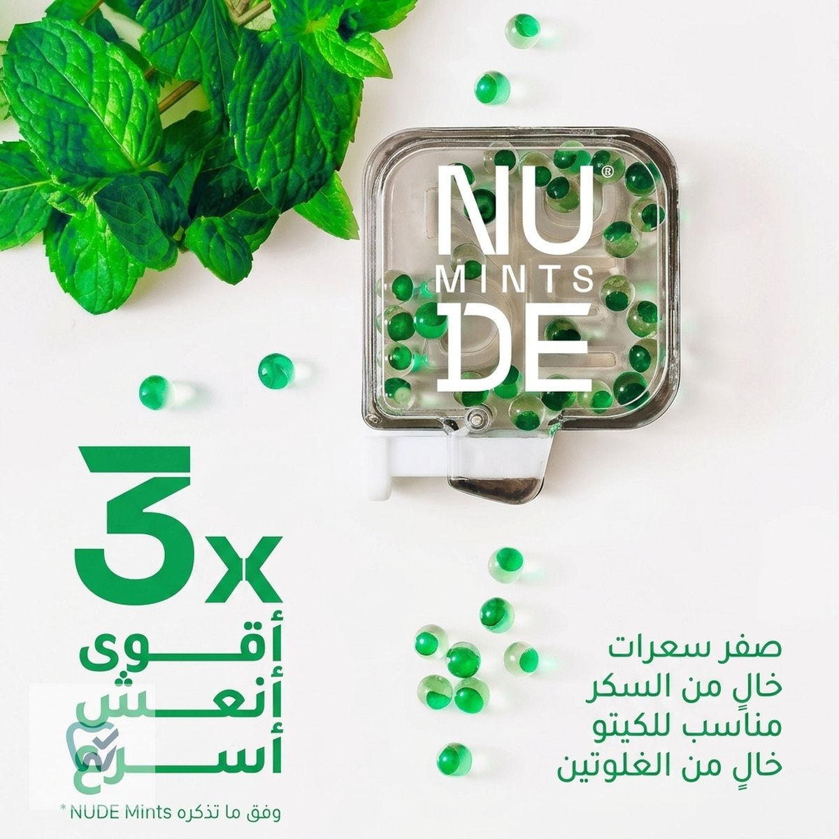 كبسولات نعناع سائلة خالية من السكر – 5 نكهات × 30 كبسولة – NUDE Mints
